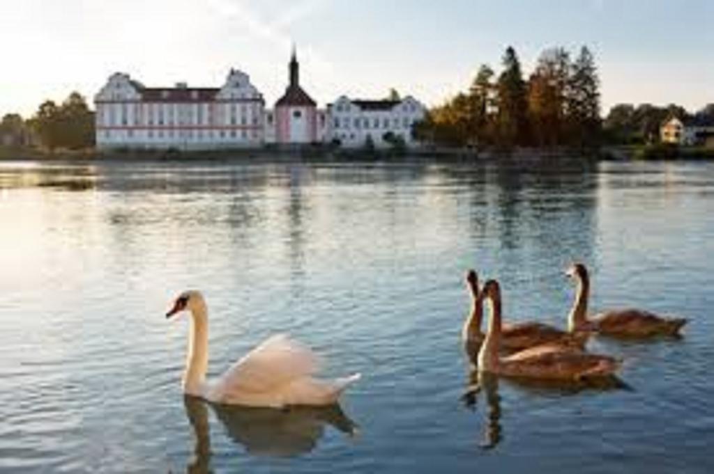 Landhotel St. Florian Sankt Florian am Inn Екстериор снимка